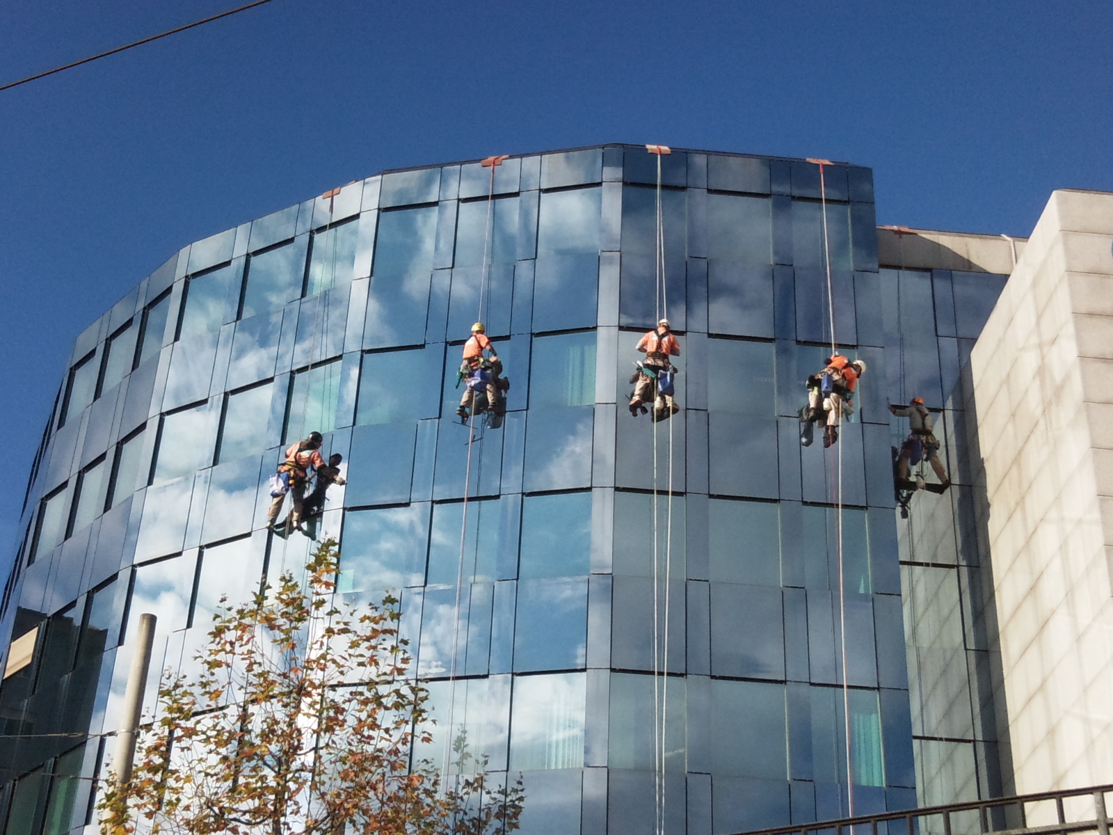 Reinigung am Seil Abseilen Höhenarbeiter Gebäudealpinisten
